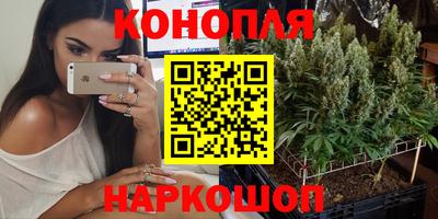 jwh Апшеронск