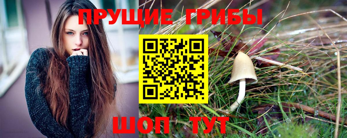 Вязьма  Псилоцибиновые грибы Magic Shrooms  Галлюциногенные грибы мухоморы  Вход с VPN 